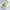 Phyto 7 Elixir Universele Sublimerende Olie