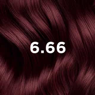 Phyto Hair Color 6.66 Licht Kastanje Intens Kersenrood