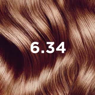 Phyto Hair Color 6.34 Donker Koper Blond
