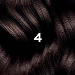 Phyto Hair Color 4 Bruin