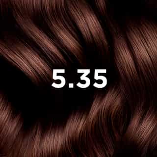 Phyto Hair Color 5.35 Licht Chocolade-Kastanjebruin