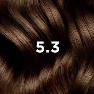 Phyto Hair Color 5.3 Licht Goudbruin