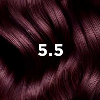 Phyto Hair Color 5.5 Licht Mahoniebruin