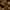 Phyto Hair Color 6.3 Donker Goudblond
