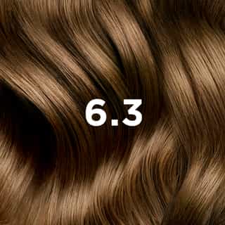 Phyto Hair Color 6.3 Donker Goudblond