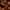 Phyto Hair Color 7.43 Goudkoperblond