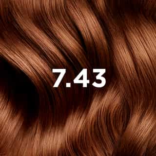 Phyto Hair Color 7.43 Goudkoperblond