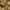 Phyto Hair Color 9.3 Zeer Licht Goudblond