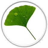 Phytocyane BEHANDELING TEGEN HAARUITVAL VROUWEN