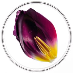 Phytocyane Routine Progressieve Haaruitval Vrouwen