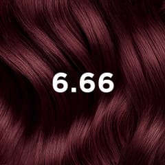 Phyto Hair Color 6.66 Licht Kastanje Intens Kersenrood