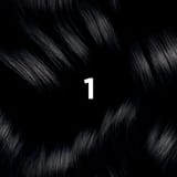 Phyto Hair Color 1 Zwart