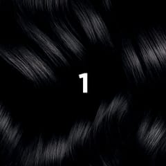 Phyto Hair Color 1 Zwart
