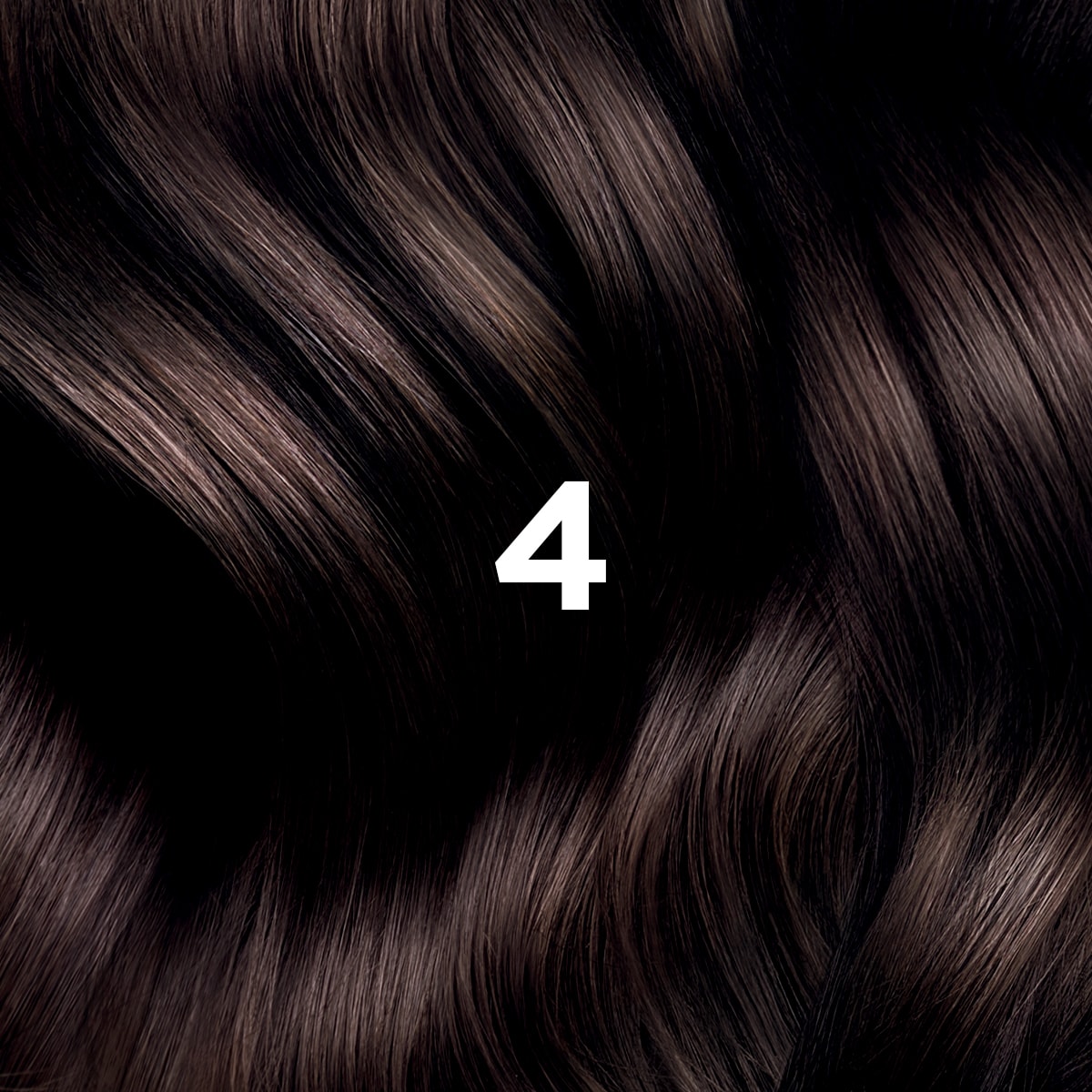 Phyto Hair Color 4 Bruin