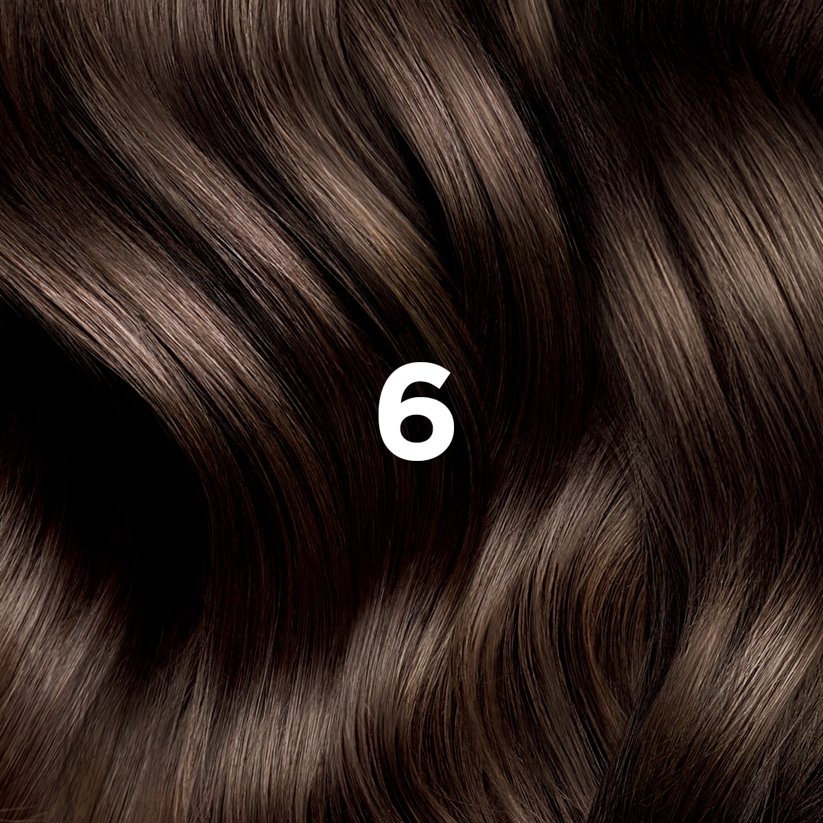 Phyto Hair Color 6 Donkerblond