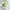 Phyto 7 Elixir Sublimerende Disciplinerende Olie