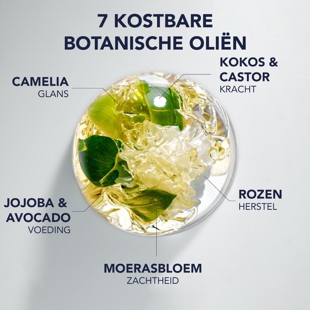 Phyto 7 Elixir Sublimerende Disciplinerende Olie