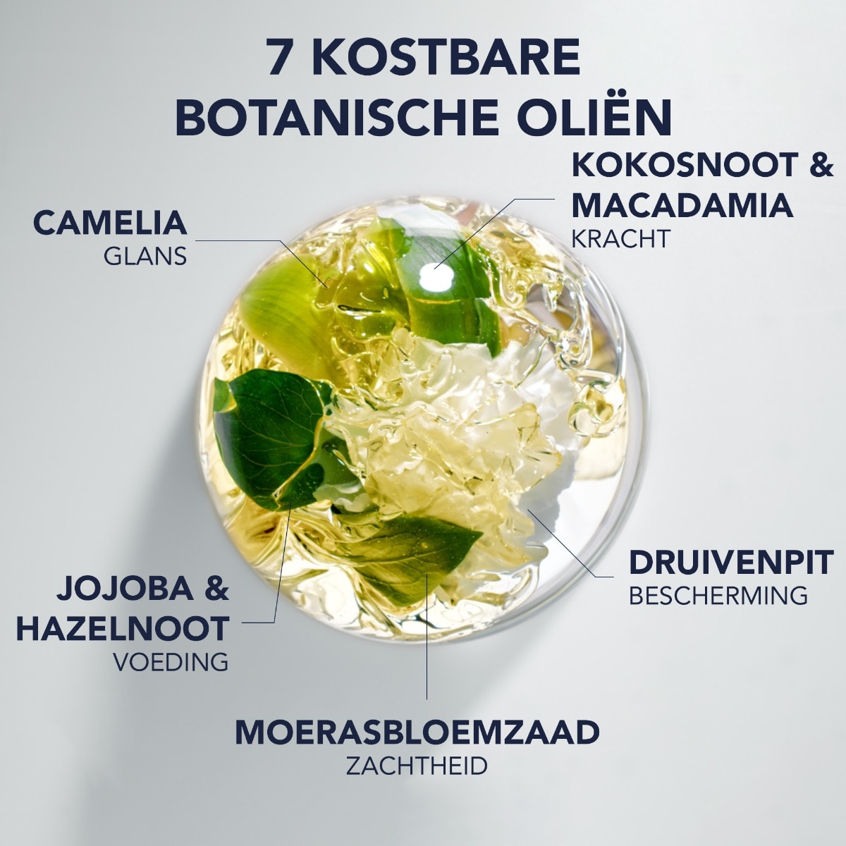 Phyto 7 Elixir Universele Sublimerende Olie
