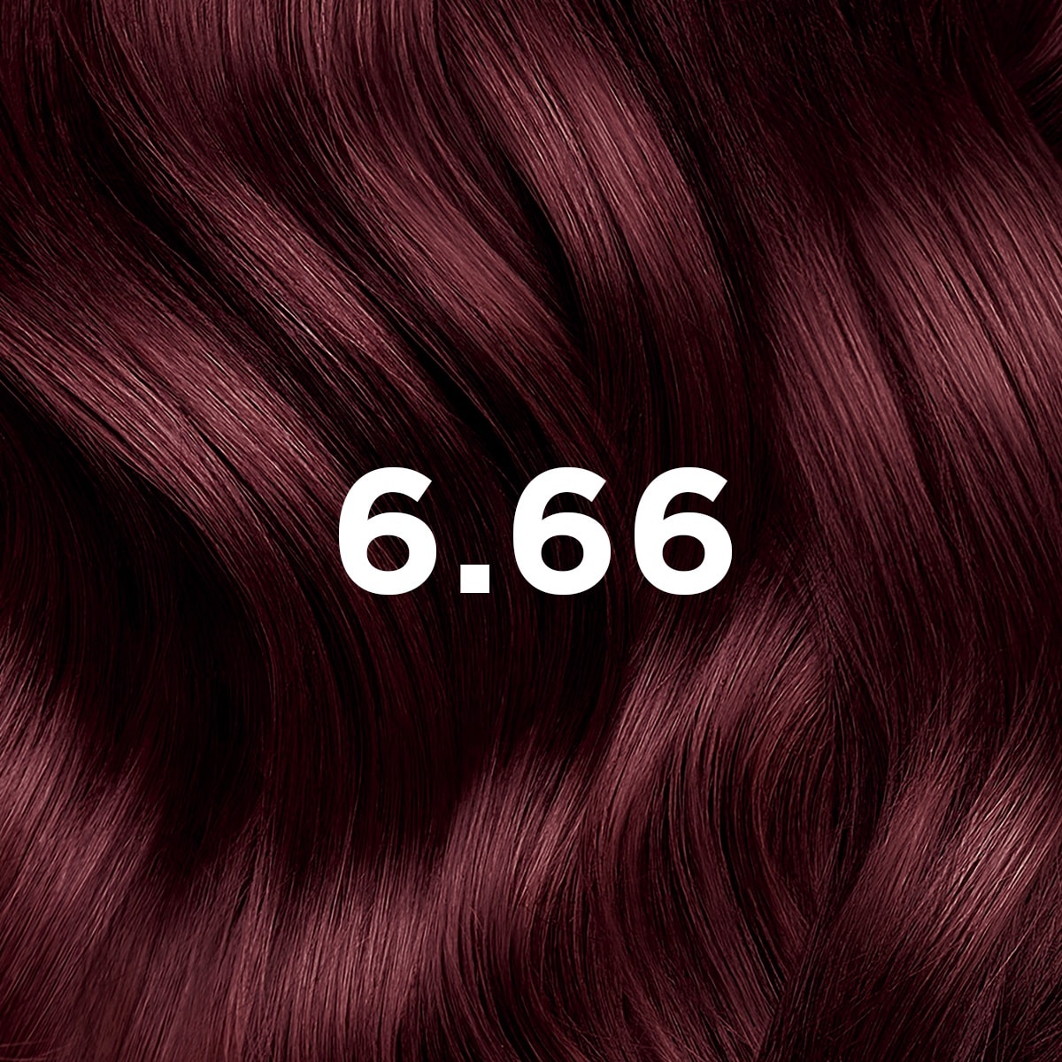 Phyto Hair Color 6.66 Licht Kastanje Intens Kersenrood