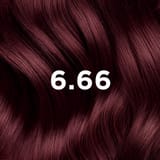 Phyto Hair Color 6.66 Licht Kastanje Intens Kersenrood