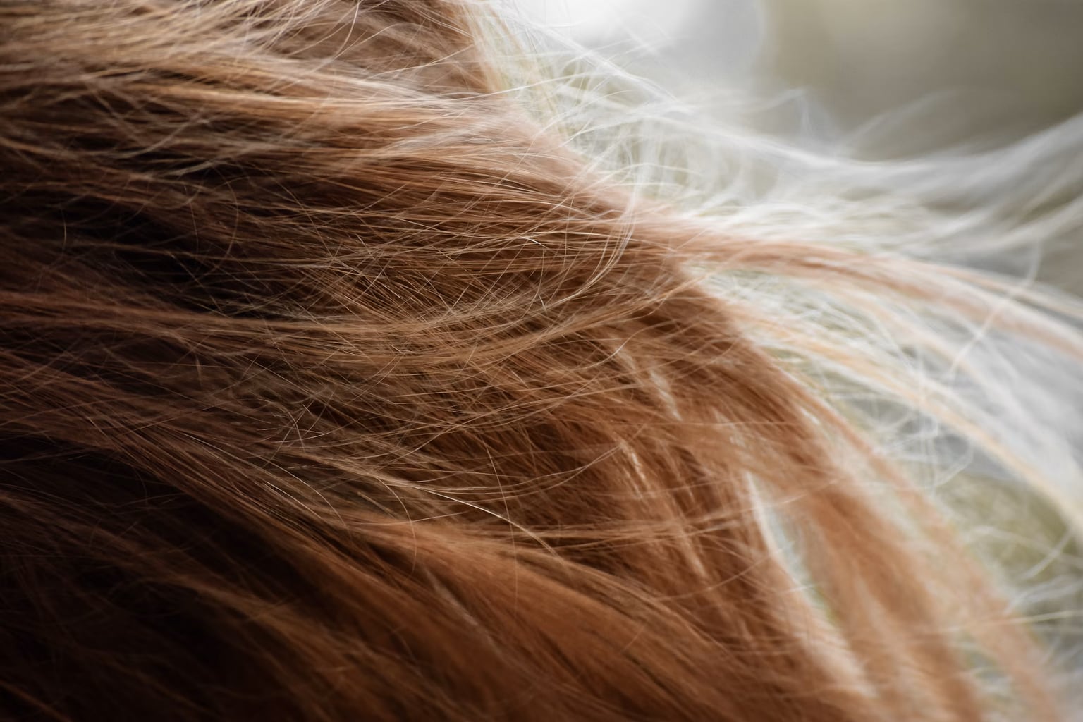 Hoe beschadigde zomerharen repareren: de perfecte herstellingsroutine voor de herfst