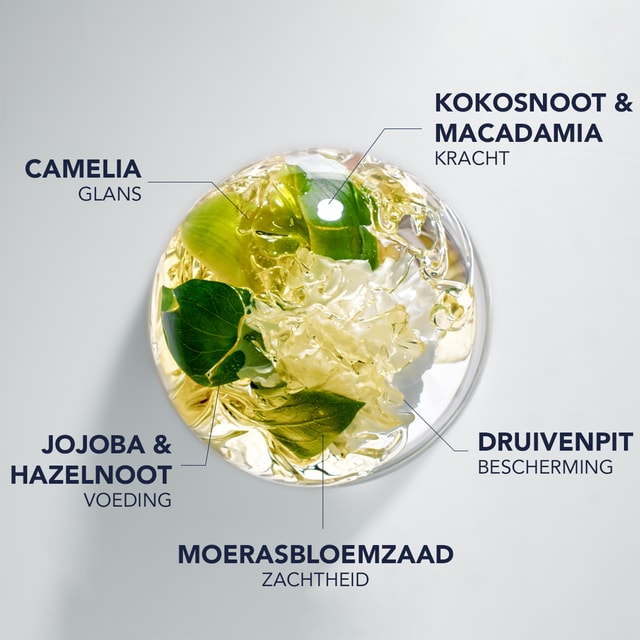 7 KOSTBARE BOTANISCHE OLIËN